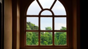 Wood Windows Installation Company